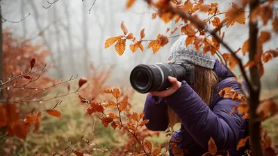 Профессия фотограф: описание профессии, где учиться, работать, плюсы и  минусы профессии