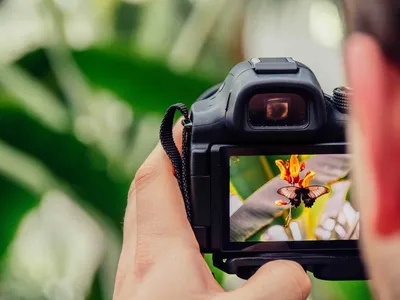 Профессиональный фотограф, как отличить дилетанта от профи?