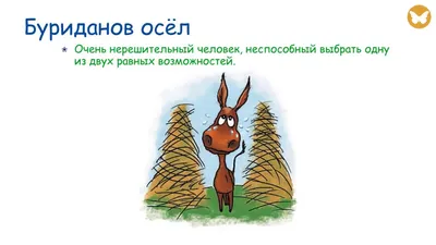 Фразеологизмы в картинках Адукацыя i выхаванне 82091977 купить за 437 ₽ в  интернет-магазине Wildberries