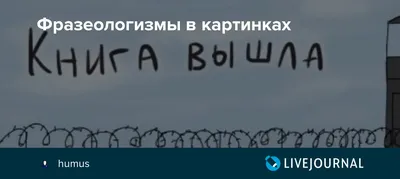 Фразеокотизмы. Фразеологизмы о котах и кошках. Е.С. Грабчикова — купить  книгу в Минске — Biblio.by