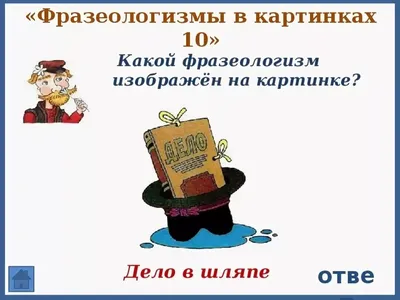 Почему говорят «кот наплакал»? | Вестник Приманычья