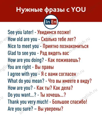 Популярные и нужные фразы с YOU | Уроки письма, Читательские листы,  Английский язык