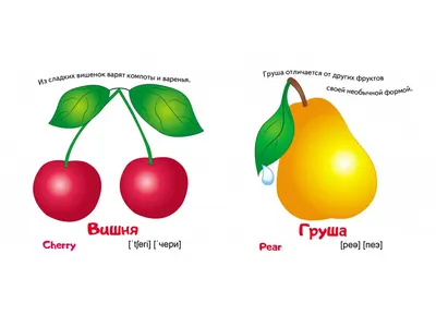 20 Бесплатных Карточек Фрукты на Узбекском | PDF