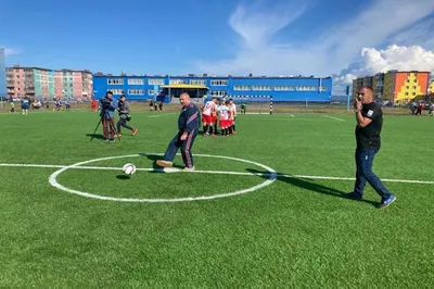 https://28kartin.ru/product/futbolnoe-pole/