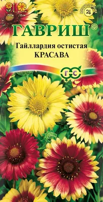 Гайлардия - «Гайлардия: красота не только спасёт мир, но и избавит от скуки  и безделия)» | отзывы