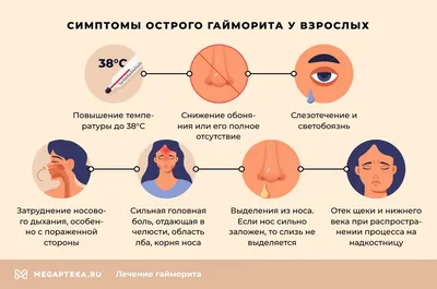 HEALTH 24 - Гайморит - это воспаление слизистой оболочки верхнечелюстных  или гайморовых пазух. Симптомы — затруднение носового дыхания (заложенность  носа); — слизисто-гнойное отделяемое из носа жёлтого или зелёного цвета  (насморк); — болевые