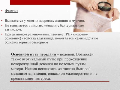 Андролог Карен Ашотович Алоян • Лечение мужского бесплодия в СПб on  Instagram: \"Как лечить гарднереллез мужчин? Очень просто. Никак.  Gardnerella vaginalis – это условно-патогенный микроорганизм, который у  женщин может вызвать бактериальный вагиноз.