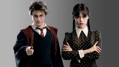 Ростовая фигура Гарри Поттер (Harry-Potter) вид 2 (518x1600 мм) - купить по  выгодной цене | Магазин шаблонов Принт100