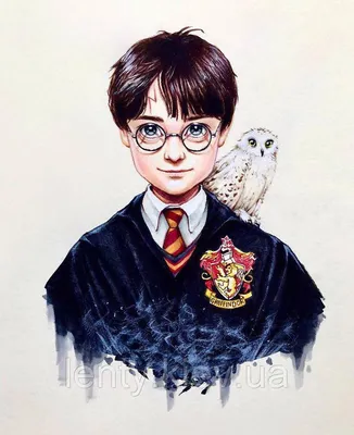 Гарри Поттер и загадочная одежда | Пикабу