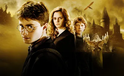 Где легально смотреть «Гарри Поттера» в России: онлайн-кинотеатры и  стоимость их подписки