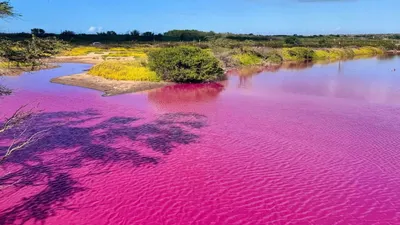 Картинки гавайи - 66 фото