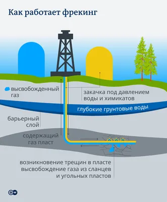 https://www.ntv.ru/novosti/2807465/