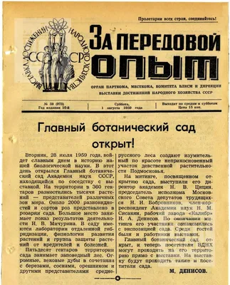 Фронт и быт. Газеты, выходившие во время Великой Отечественной войны