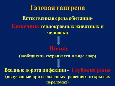 Газовая гангрена - презентация онлайн