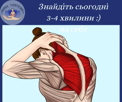 Медики рассказали, как отличить заболевание почек от обычной боли в спине -  РИА Новости, 26.02.2021