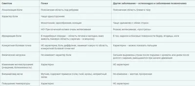 Что делать если болят почки? | Лечение, Анатомия, Углубленное изучение  биологии