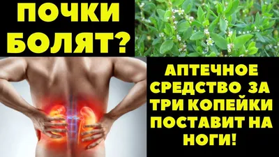 Опущение почки - симптомы и лечение - блог Медюнион