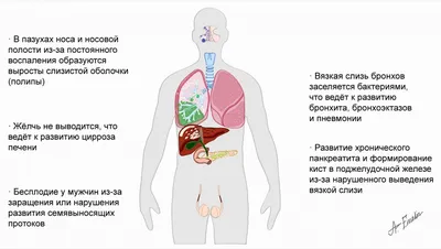 5 причин почему болит в левом боку. Сеть медицинских центров и МЦ  «Здоровье» в Москве.