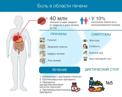 Боль в печени у человека: симптомы, признаки, причины, диагностика и лечение