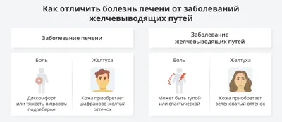 Почему болит печень и как восстановить этот орган