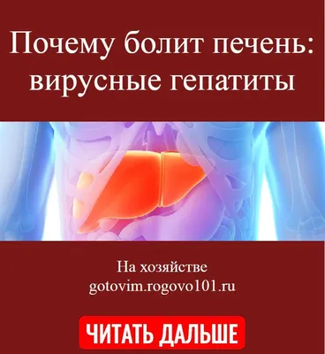 Вячеслав Силуянов | Кинезиолог Остеопат on Instagram: \"Болит ли у нас печень?  Многие частично осведомленные пациенты думают, что печень болеть не может,  что в целом именно так, однако есть нюансы которые необходимо