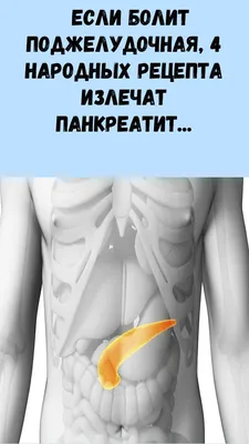 Врач рассказала, как болит поджелудочная железа: 9 признаков острого и  хронического панкреатита | О здоровье: с медицинского на русский | Дзен