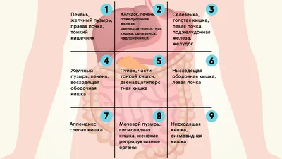 Почему болит левый бок: отвечают врачи, причины и лечение