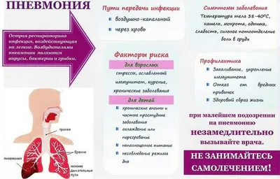 Пневмония - причины, симптомы, диагностика и лечение