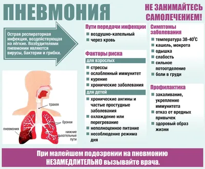 Пневмония или воспаление легких! | MEDapte4ka | Дзен