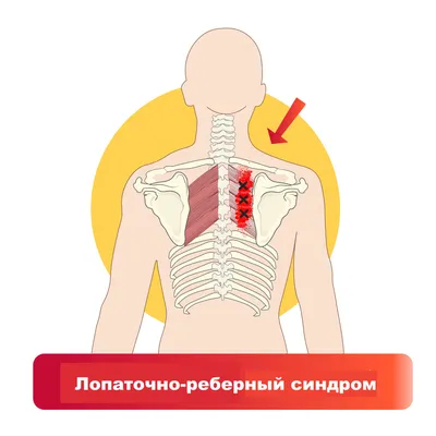 ПАМЯТКА ПО ПРОФИЛАКТИКЕ ВНЕБОЛЬНИЧНОЙ ПНЕВМОНИИ | Официальный сайт  государственного бюджетного учреждения здравоохранения «Выборгская  межрайонная больница»