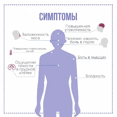 Пневмония - симптомы, признаки пневмонии у взрослых, лечение и профилактика