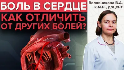 Почему болит сердце | Доктор КИТ