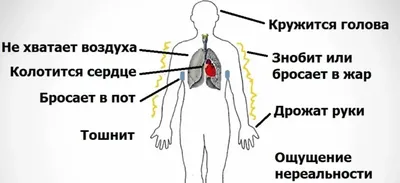 Сердце человека: как болит, где находится, сколько камер и другие  интересные и важные факты