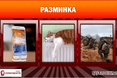 Интеллектуальная игра «Где логика?» — Региональный модельный центр  дополнительного образования детей