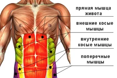 Межреберная невралгия - причины появления, симптомы заболевания,  диагностика и способы лечения