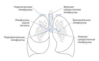 Боли между лопатками (боль между лопатками) - Ормедиум