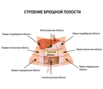 Аппендицит: с какой стороны находится и болит, симптомы, признаки у женщин  и мужчин