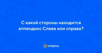 Желчный пузырь: где находится, как болит, какой врач лечит.