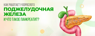 Spitalul Polivalent Novamed - Бюллетень здоровья Novamed: Хурмузаке Артур,  врач-хирург, об остром панкреатите: симптомы и лечение Острый панкреатит -  это воспаление поджелудочной железы, являющейся смешанной железой  внутренней и внешней секреции ...