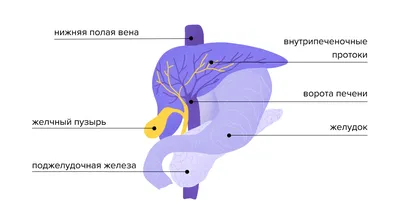 Операция панкреатита в Харькове ✳️ Хирургия ОМИХ