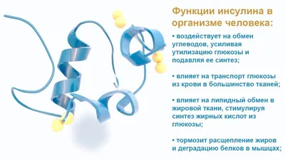 Боль в желудке: почему болит желудок, что делать при острой и сильной боли