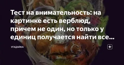 На этой картинке есть не только верблюд, но и его хозяин. Но немногие могут  его найти - Рамблер/субботний