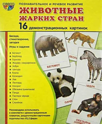 картинки : пейзаж, песок, пустыня, Млекопитающее, горячий, Верблюды,  Позвоночный, Сахара, Засуха, Поводья, Горб, Вьючное животное, Туарег,  Верблюд, как млекопитающее, Мустанг лошадь, Арабский верблюд 3072x2304 - -  1348691 - красивые картинки - PxHere