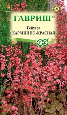 Гейхера гибридная Тающий Огонь, 5 драже Альпийские горки, купить в интернет  магазине Seedspost.ru