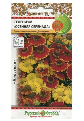 Купить ГЕЛЕНИУМ ОСЕННИЙ ХОТ ЛАВА Helenium autumnale Hot Lava - Садовый  центр «Любимый сад»