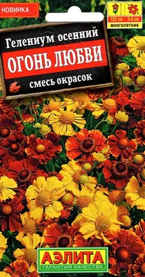 Гелениум Моерхейм Бьюти купить с доставкой в г. Муром - цена от 400.00 руб