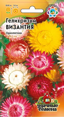 Сухоцвет Гелихризум d3,5 см, 10 шт купить по цене 160,00 руб.