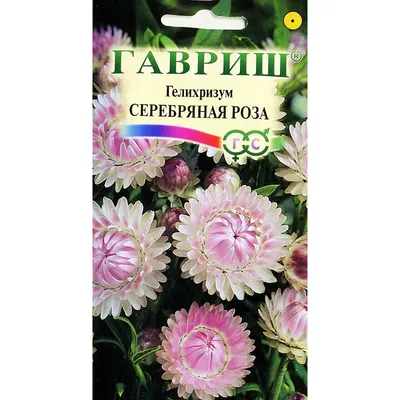 семена Гелихризум: купить семена почтой. Интернет-магазин семян  декоративных цветов с доставкой по России