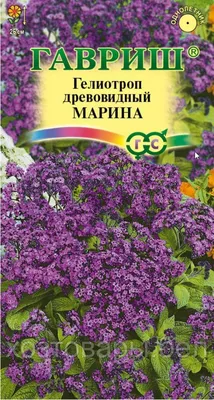 Гелиотроп | PDF