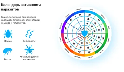 Исследование кала на яйца гельминтов и простейшие | ВИРА-Центр г.  Нефтеюганск